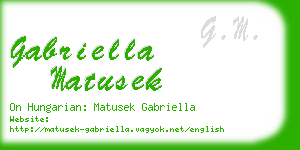 gabriella matusek business card